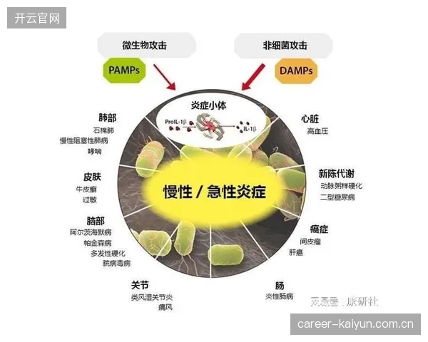 主帅哈桑保守的换人策略或成体能隐患，关键战役末段球队的体能衰退风险随之增加。